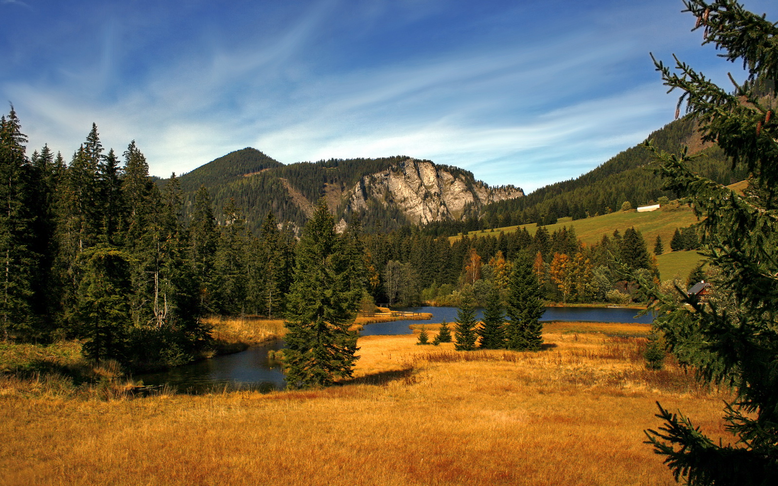 WRC车队布局：未来车队棋局逐渐展开，wrc哪个车队厉害