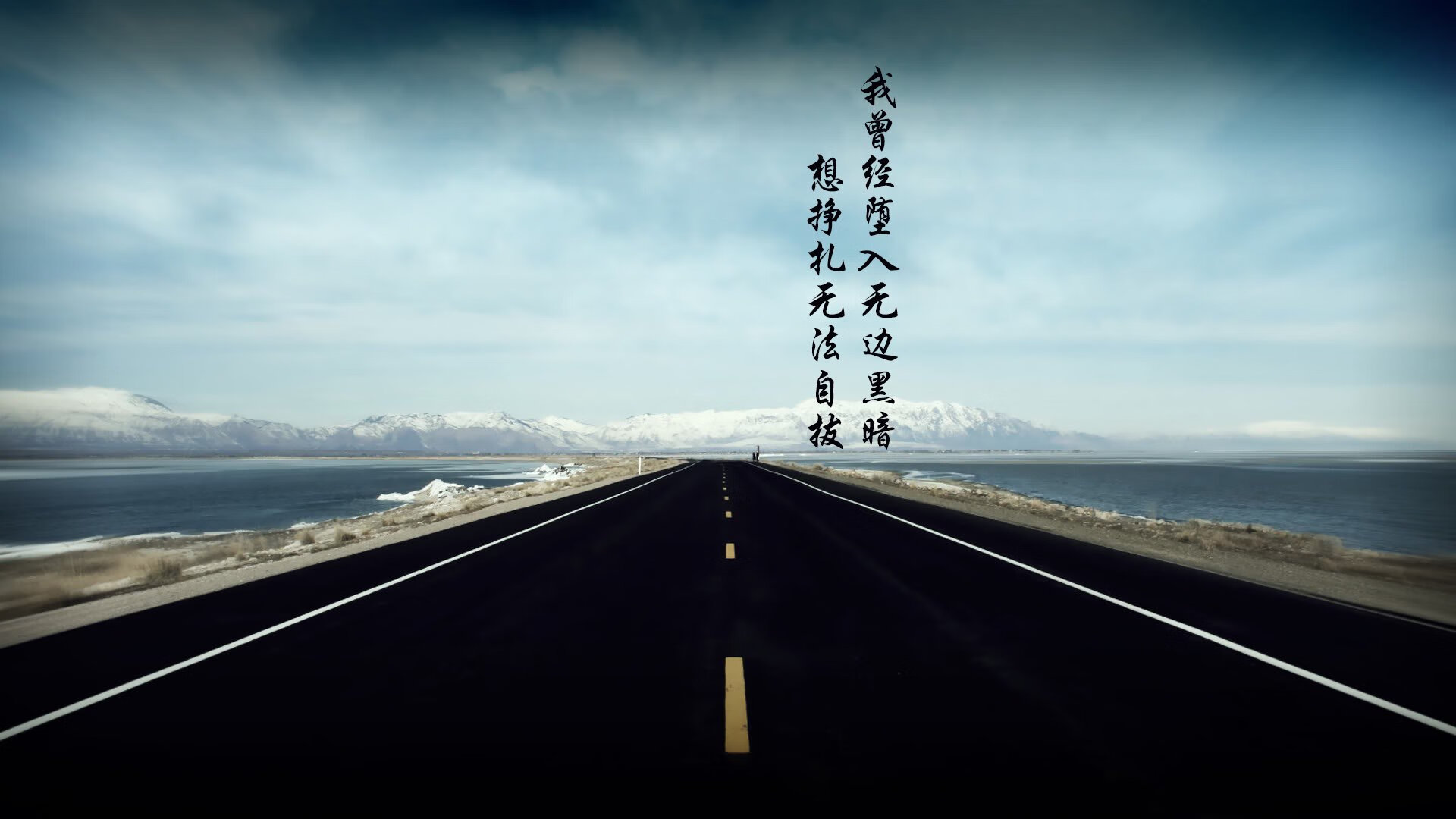 _国际合作赛事：多国选手共绘体育盛宴_，国际体育比赛视频