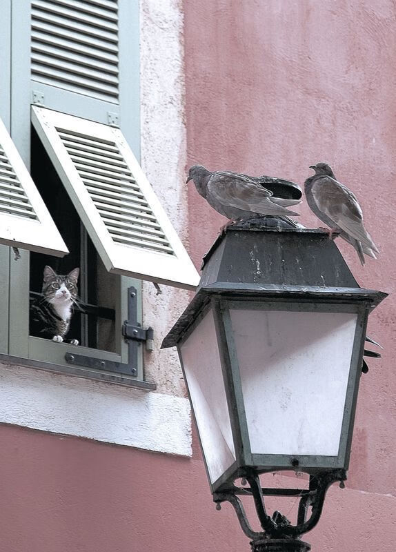 _勇士连续三场三分大爆发，胜利在望_，勇士三分集锦