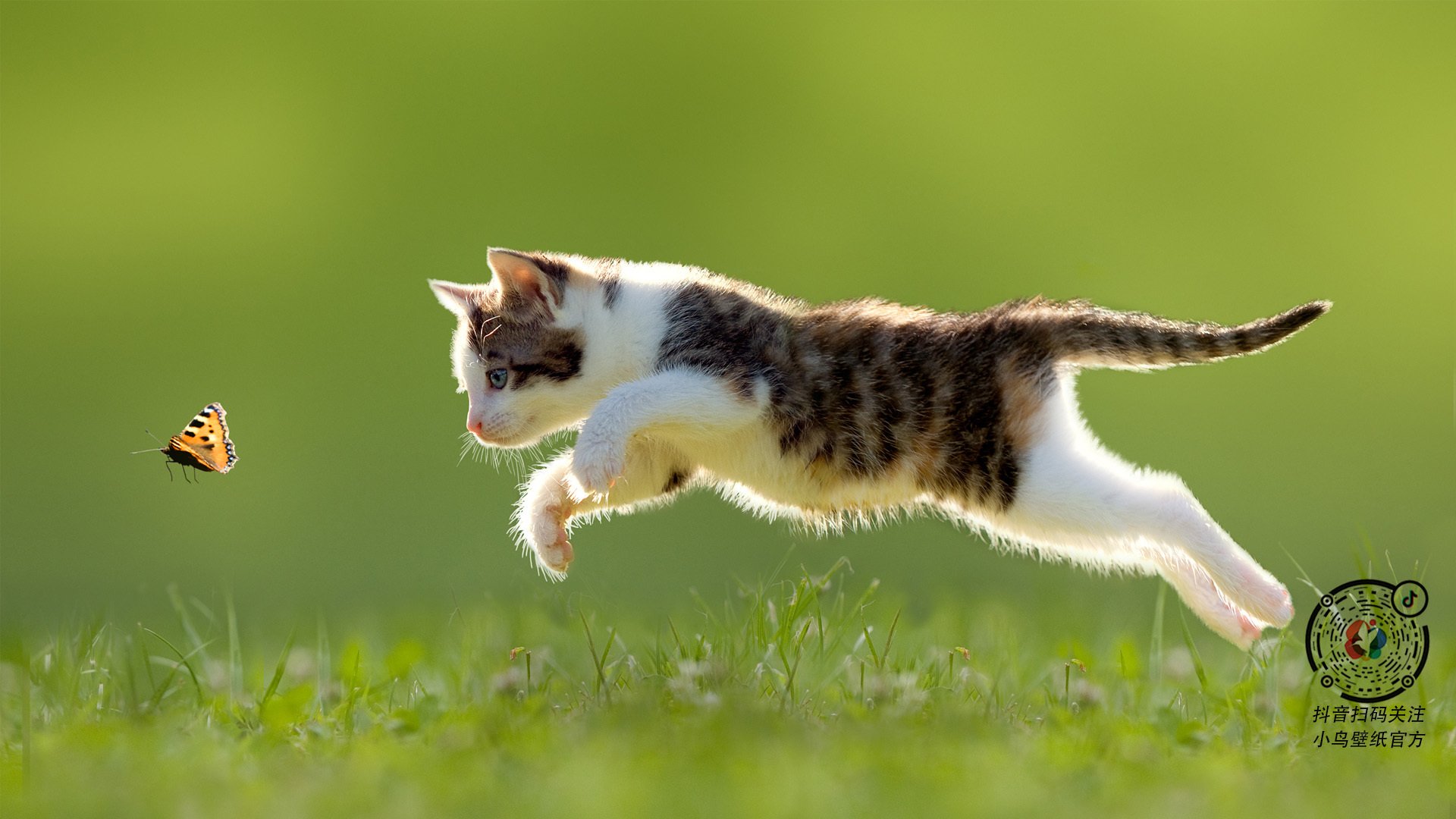 影响深远:联盟科技赋能深度变革未来篮球,影响联盟比赛