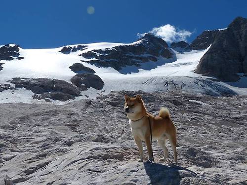 球队抗压能力大考：欧冠中的“世纪大战”，新世纪欧冠历届冠军