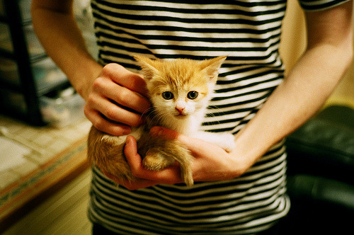 西甲精彩攻防双线，表现突出的球员赢得掌声，2020赛季西甲最常见两项总进球数为