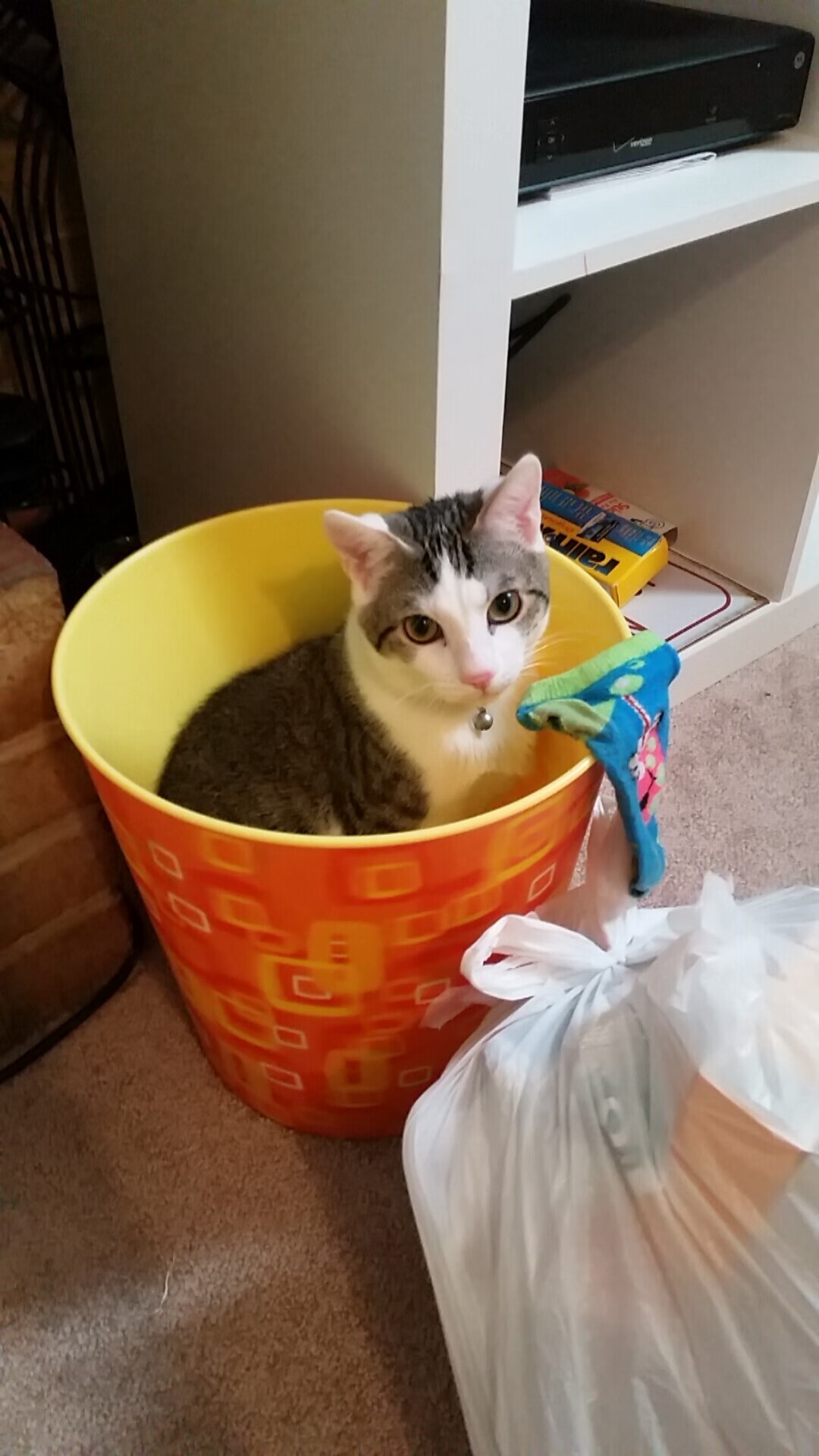 西甲球队在欧洲赛场表现持续优异，西甲在欧洲什么地位