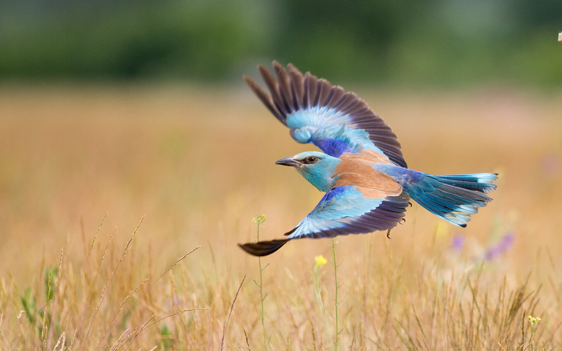 西甲焦点：皇马在补时绝杀巴萨，争冠形势发生微调，西甲第七轮皇马vs巴萨