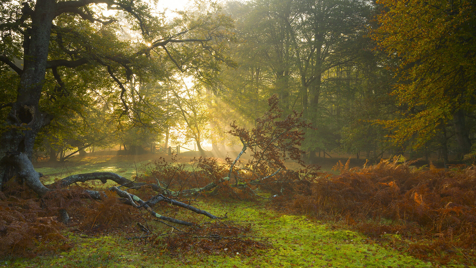 迈阿密热火“铁血防守”让对手无从下手，迈阿密热火最酷开场