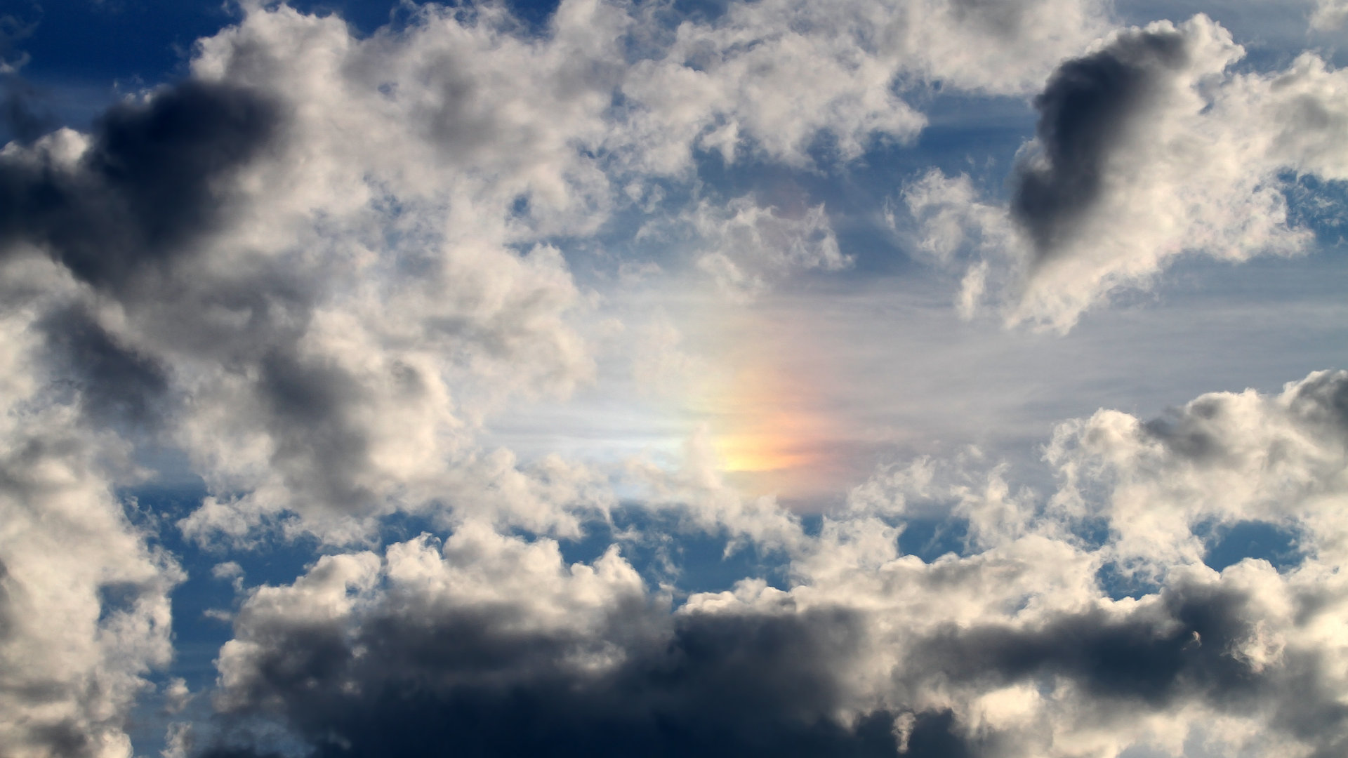 那不勒斯球迷现场助威，为球队鼓与呼，那不勒斯球队厉害吗