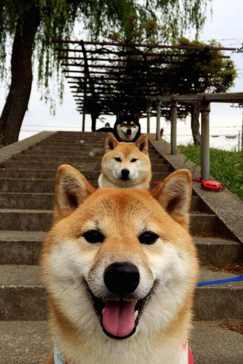 雷恩客场大胜梅斯，提前锁定胜局，雷恩vs马赛预测