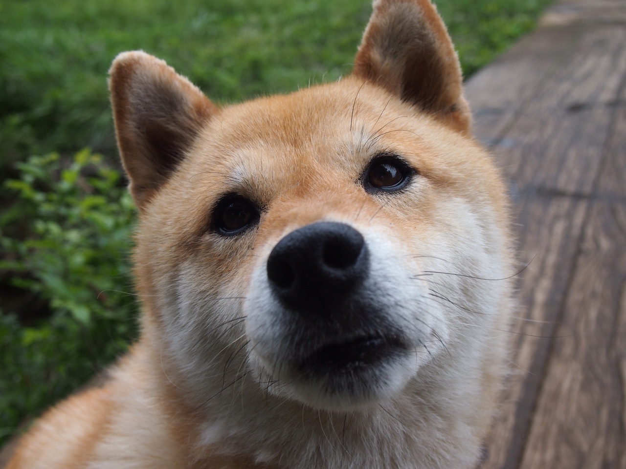 中超联赛国家队爆冷 球迷提出改革建议，中超球队减少