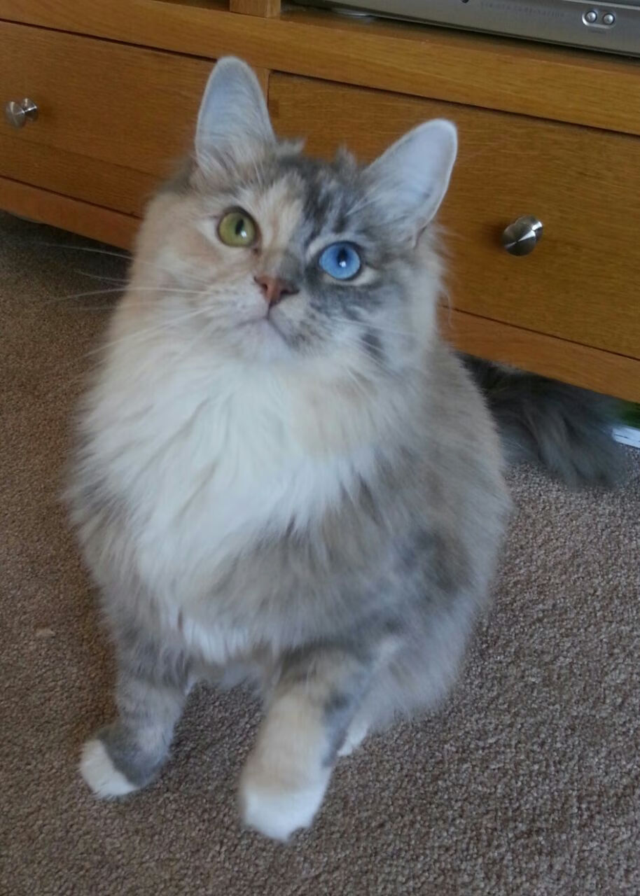 中超联赛国家队晋级 球迷为球队呐喊助威，中超联赛准入名单