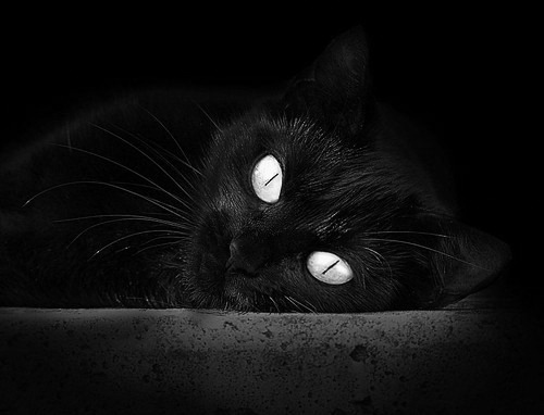 仰泳技术核心指标全面提升，仰泳技术动作要点