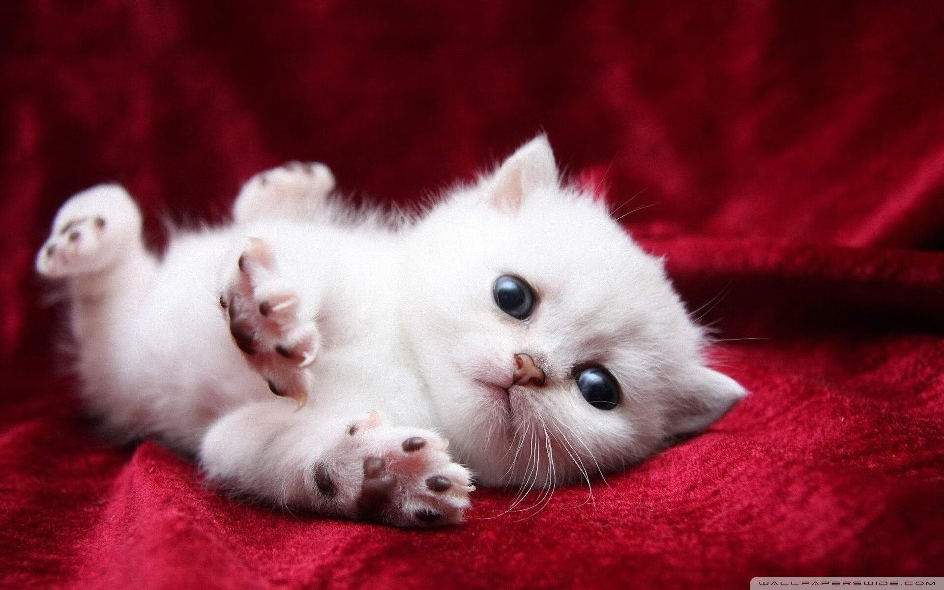 青训课程设计需结合实际需求，青训课程设计需结合实际需求的原因