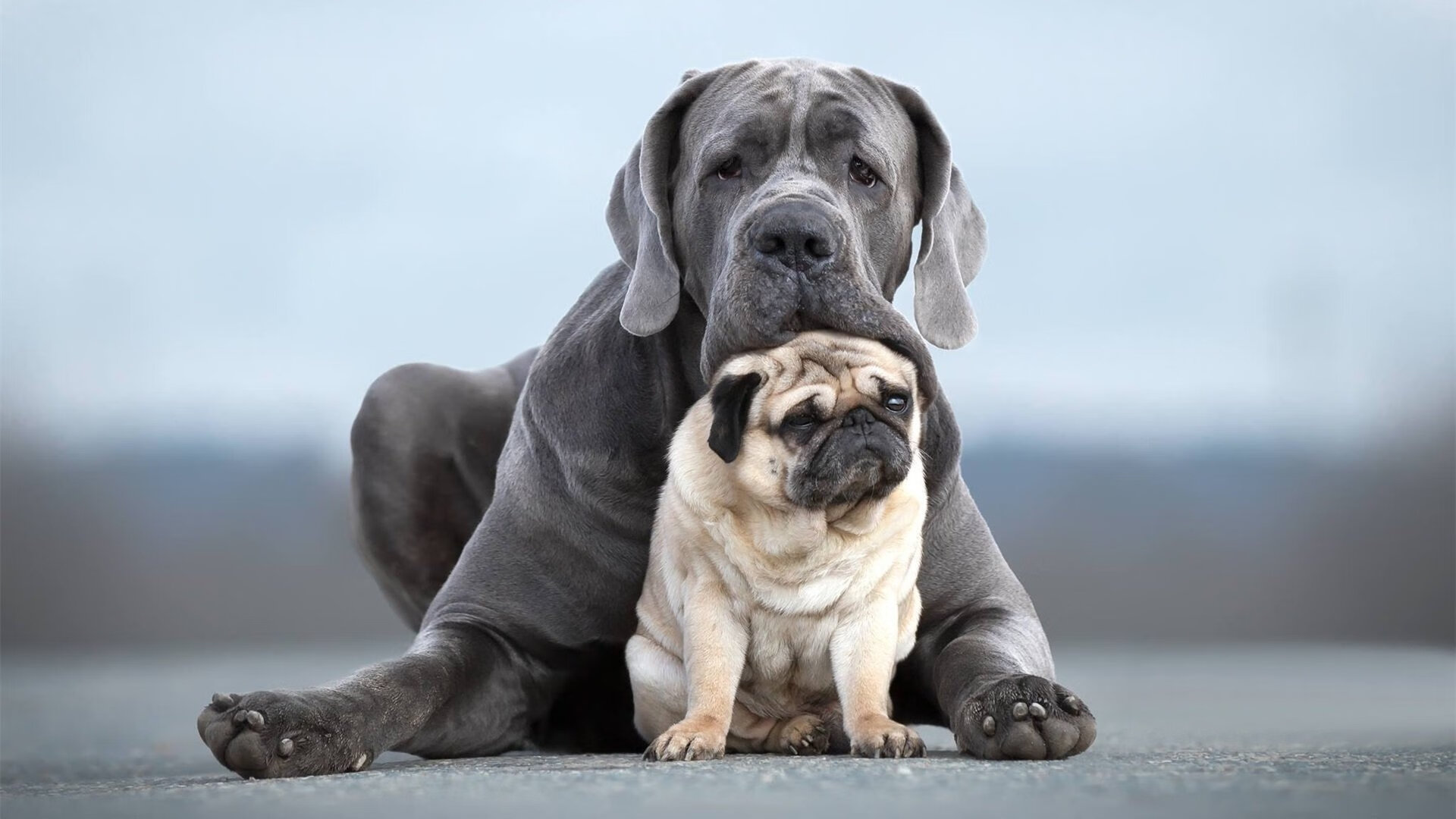 中超联赛设置多维赛季评估标准覆盖技战术心理体能，2021赛季中超联赛分组