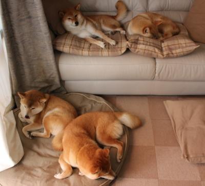 欧洲杯决战燃爆：全场惊喜连连！，欧洲杯决赛场外失控现场