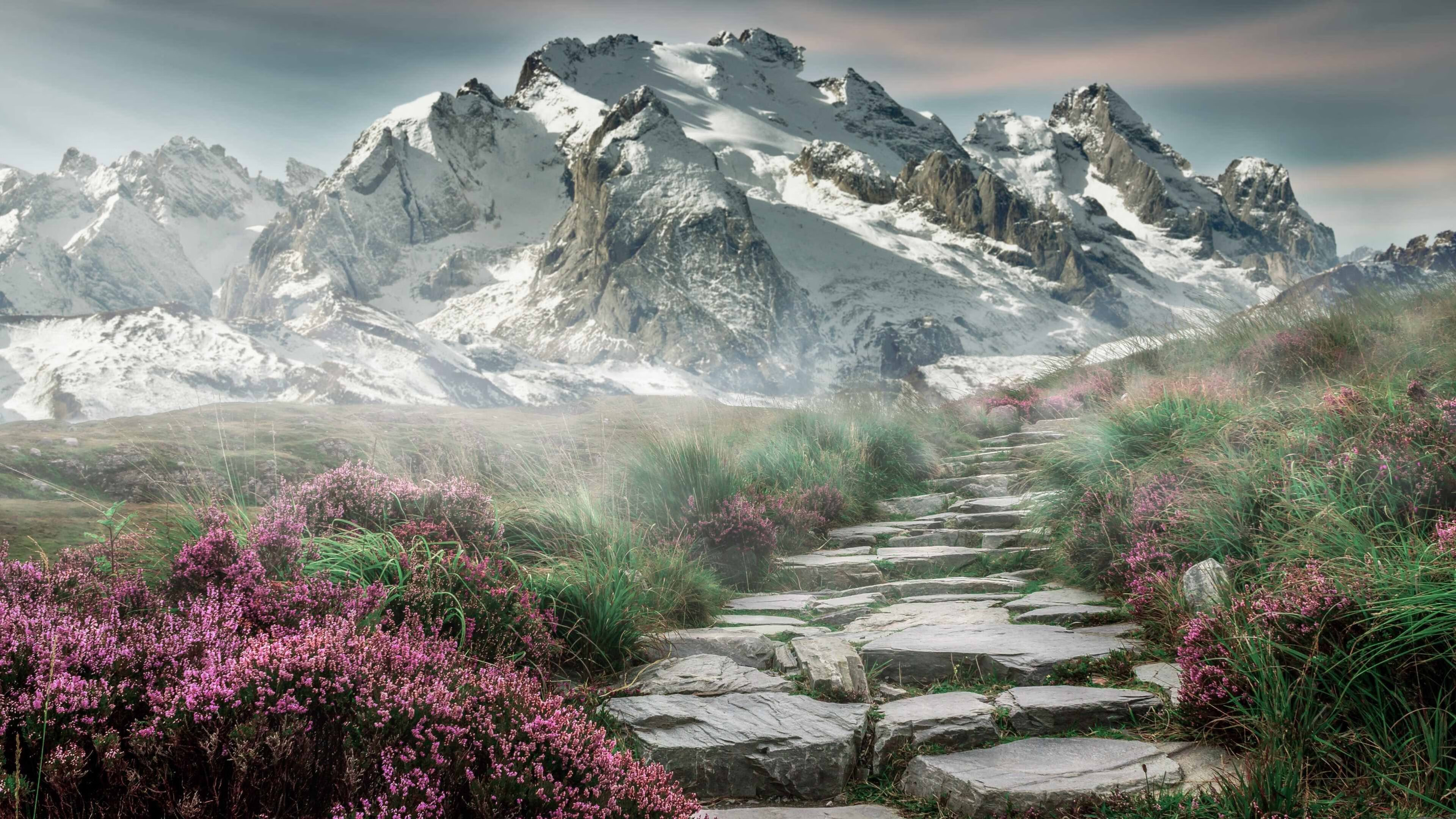 英超比赛中的临场应变能力，英超的场地小