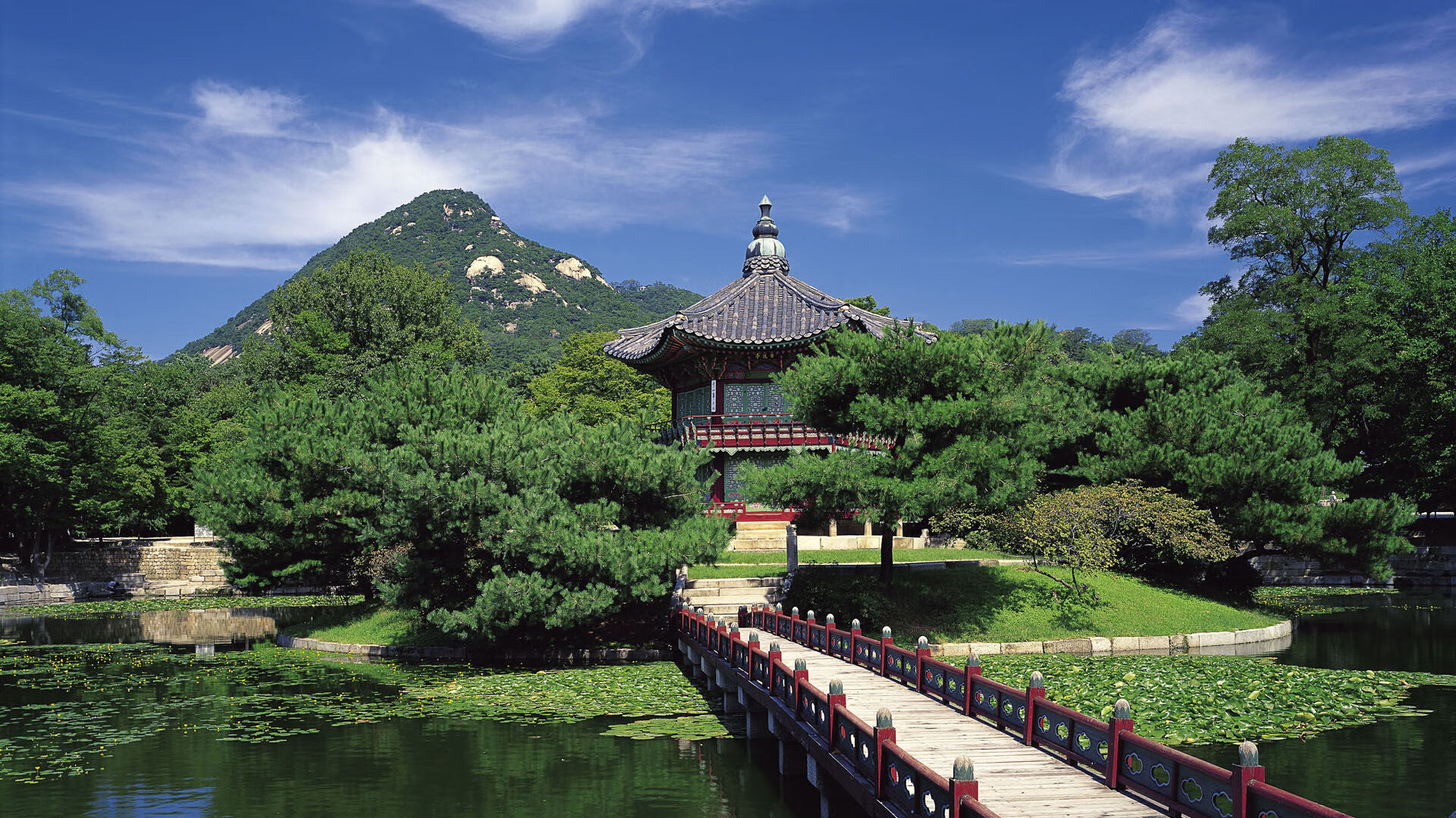 青少年足球比赛实现全程视频回放，提升赛事透明度，青少年足球比赛直播